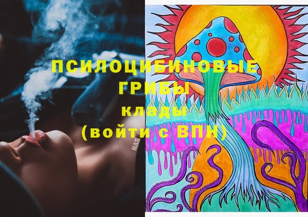 PSILOCYBIN Балабаново